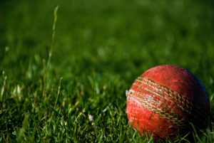 Who Is In The European Cricket  League?